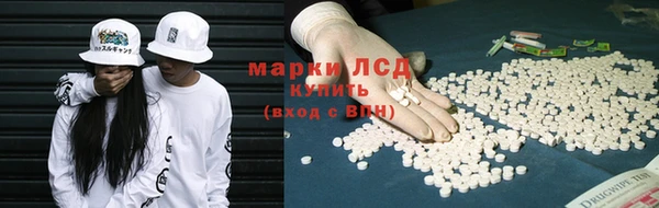 мяу мяу мука Алзамай