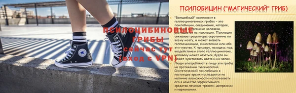 прущие грибы Алексеевка